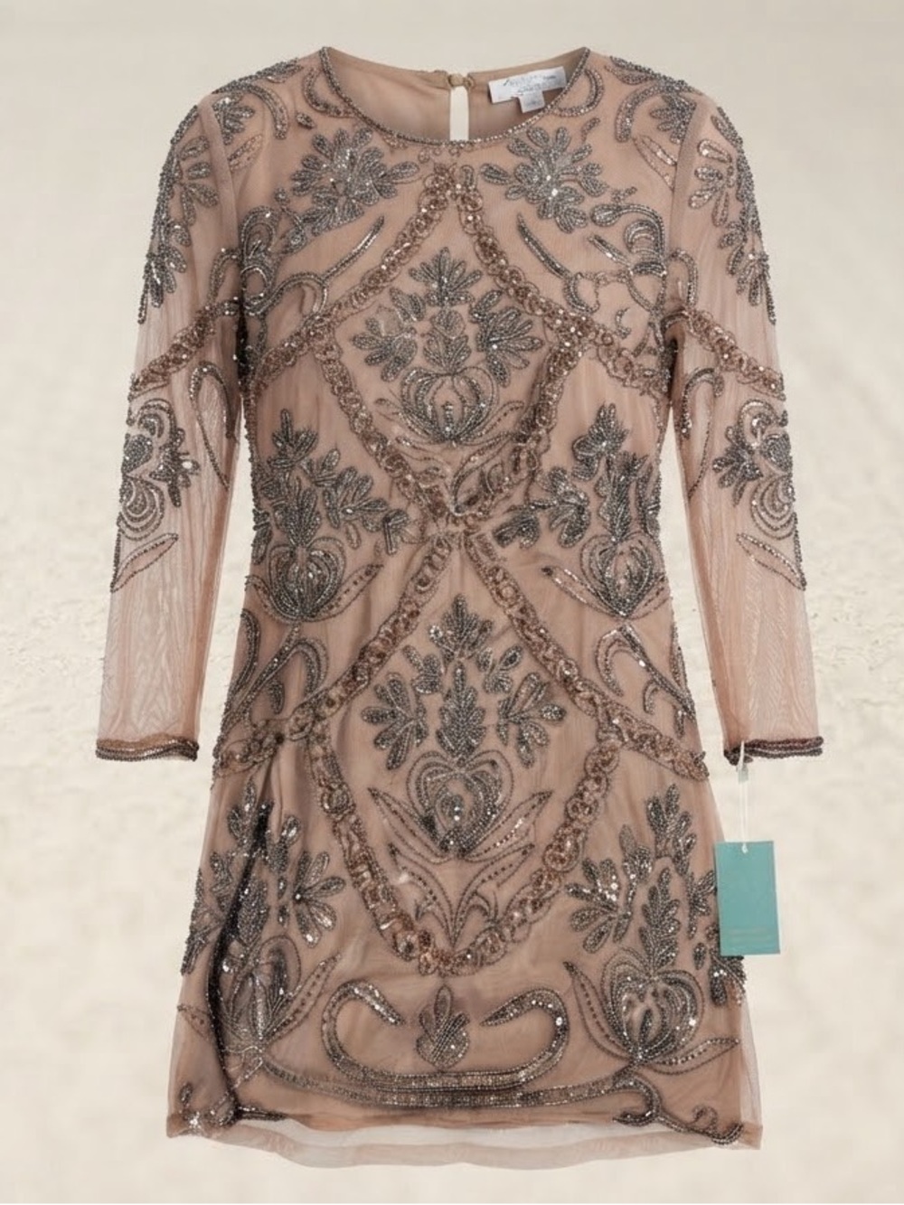 Embellished Blush Mesh Sheath Dress with Beaded Motif